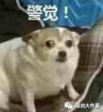 DƬ